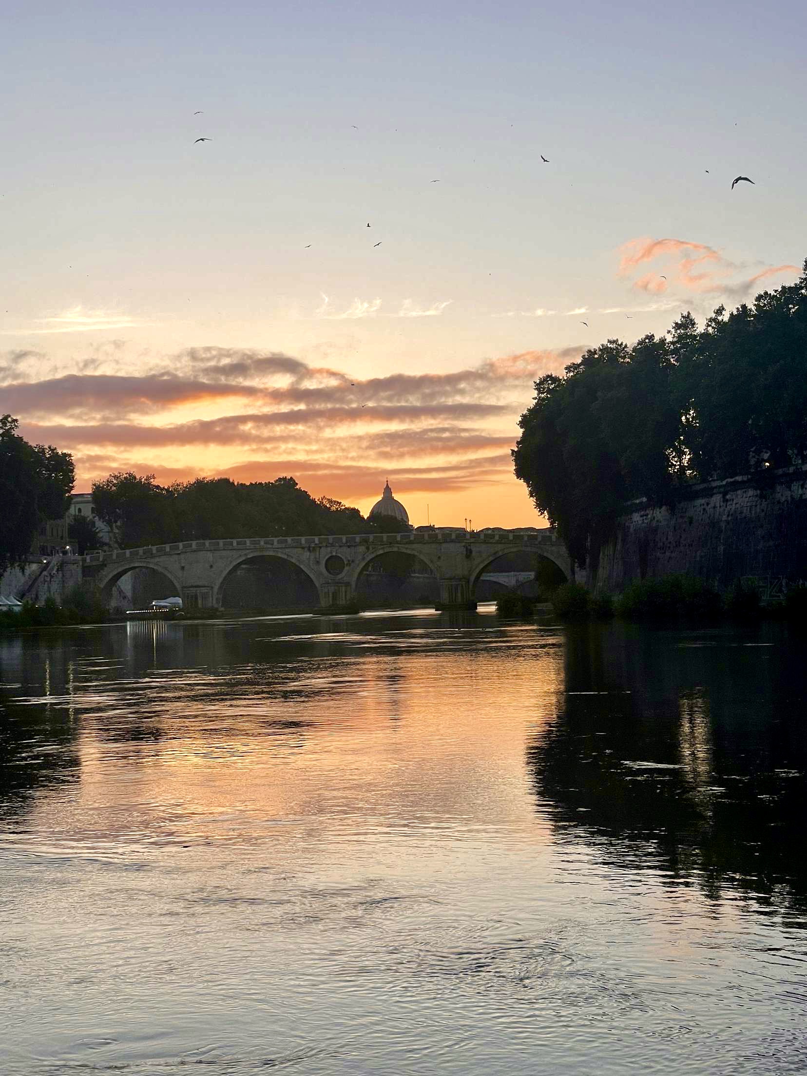 An image of a bridge in Rome, taken by me.